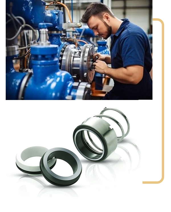 Mechanical Seals for Pumps in Taloja